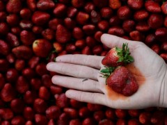 美国环保组织公布果蔬农残排行榜  草莓居首位