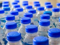 研究发现塑料瓶含内分泌干扰物质有损经济