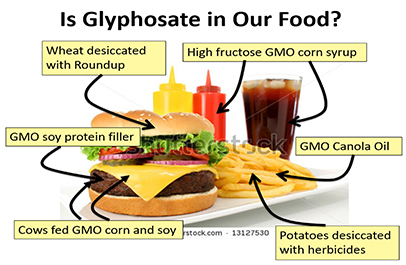 Is-glysophate-in-our-food