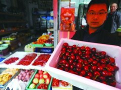 美国进口樱桃加入甜蜜大战 售价150元/斤