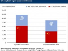 中国大豆进口量减少 美豆库存承压