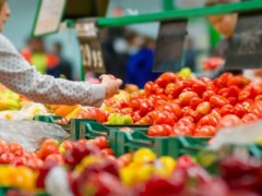 美国华人学者培育出口感更佳的西红柿