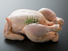 英国鸡肉销售下滑 弯曲杆菌或为祸首