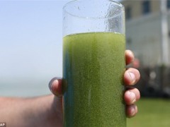 美国俄亥俄州有毒藻类暴发 数十万人无水可用