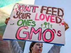 美媒：美国转基因食品没有标识 消费者无从判断