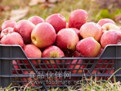 研究发现加拿大蔬果包装容器卫生状况不佳