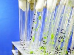 美国开发快速锁定食源性疫情源头的数据库