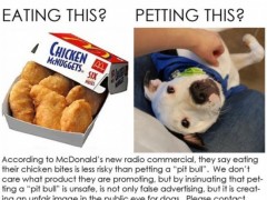 麦当劳食品安全广告“弄巧成拙” 被指歧视宠物犬