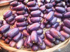 意大利通报原产于喀麦隆的沙佛果为未授权新型食品