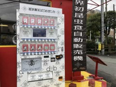 日本推出“食用昆虫贩卖机” 你敢吃吗