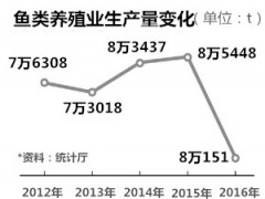 韩国：鱼类养殖业也受到《金英兰法》冲击 生产量持续下降