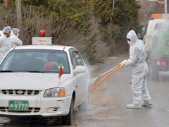 韩国禽流感疫情升温  新增3起病例