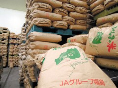 欧盟调整进口日本食品的相关限制 福岛大米也在解禁之列