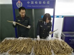 两日本旅客非法携带80余斤山药入境 被依法截留销毁