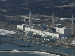 福岛159名儿童确诊患癌 日本政府还在“请求”解禁食品进口限制