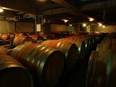 日本麒麟公司在长野新增两处葡萄酒窖 提高葡萄酒的产能