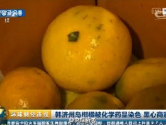 韩国3.6吨柑橘被查出用化学药品染色 以次充好