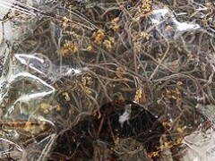 韩国通报中国产干蕨菜重金属超标