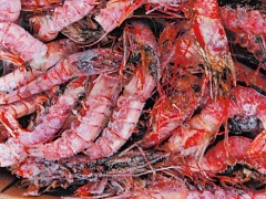去年山东口岸十大检出案例：腐败变质进口冻红虾