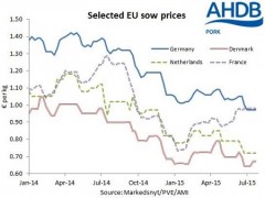 欧盟母猪价格下滑减缓