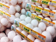 日本专家介绍延长鸡蛋保鲜期方法