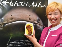 日本乐桃航空将导入鳗鱼味鲇鱼盖饭机内套餐