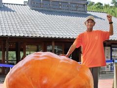 日本七旬老农种出458公斤重巨型南瓜