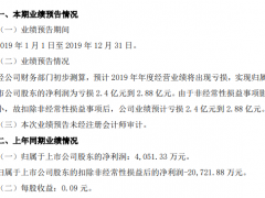 ST椰岛2019年盈转亏 亏损2.4亿元到2.88亿元