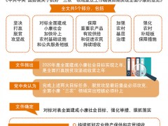 2020年中央一号文件公布 提出两大重点任务