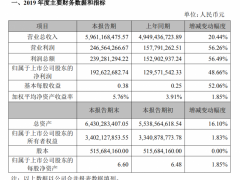 好想你发布2019业绩快报：营收预增20% 净利预增49%