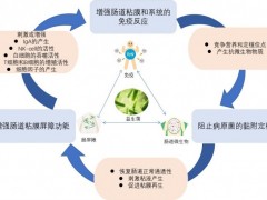 乳制品知识科普系列宣传（八）