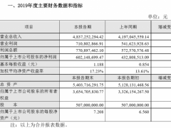 洽洽食品发布业绩快报：2019年度净利超6亿元 同比增长39%