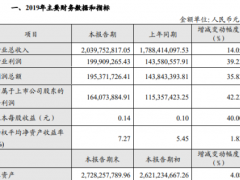 加加食品2019年净利1.64亿元增长42% 投资收益增加