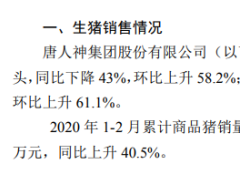 唐人神2月生猪销售收入合计1.4亿元 同比上升120%