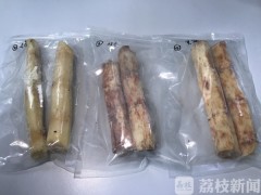 清明蔗真的“毒”过蛇？记者实验告诉你答案