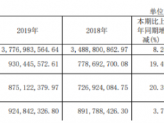 迎驾贡酒2019年净利9.3亿增长19.49% 综合毛利上升所致