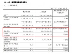 香飘飘2020年一季度亏损8556.87万元 春节提前销量下滑
