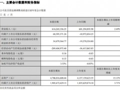 金新农2020年一季度盈利6839.54万元