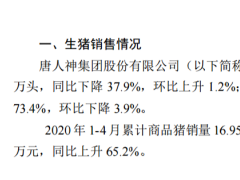 唐人神4月生猪销量5.20万头 同比下降37.9%