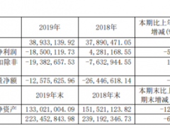 ST昌鱼2019年亏损1850.01万由盈转亏 董事长薪酬39.03万