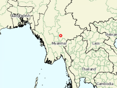 缅甸发生一起非洲猪瘟疫情