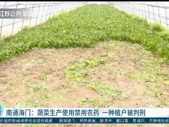 判刑加罚款！南通一蔬菜种植户使用禁令农药，代价有点大
