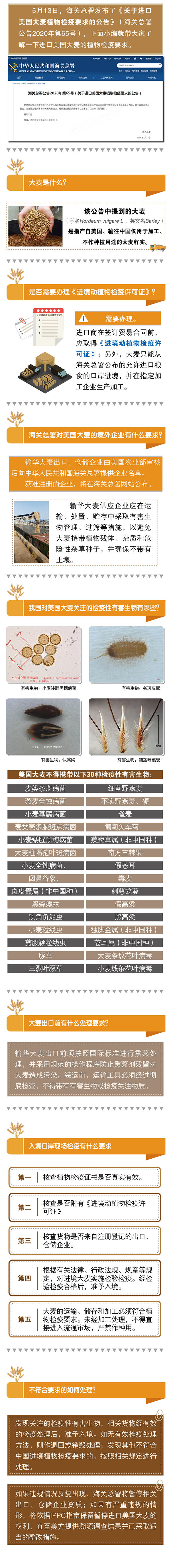 大麦</a>b
