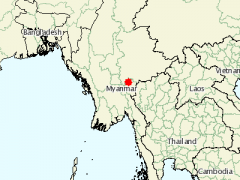 缅甸发生非洲猪瘟疫情