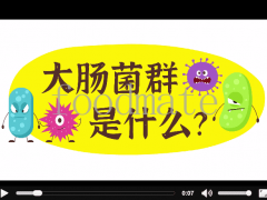 海南省市场监督管理局关于3批次食品不合格情况的通告（2020年第28期）