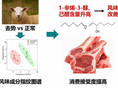 中国农业科学院北京牧医所优质功能畜产品创新团队发现去势改善羊肉风味
