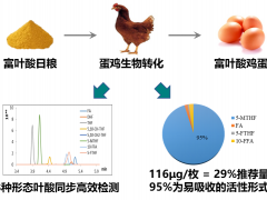 优质功能畜产品创新团队成功研发富叶酸鸡蛋及其质控技术