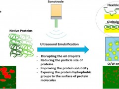华中农业大学为食品复杂乳化体系可控精准制造提供新思路