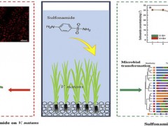 上海海洋大学王丽卿教授团队在《Water Research》期刊发表论文