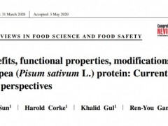 豌豆蛋白的健康益处，功能特性，结构改性与应用的研究进展